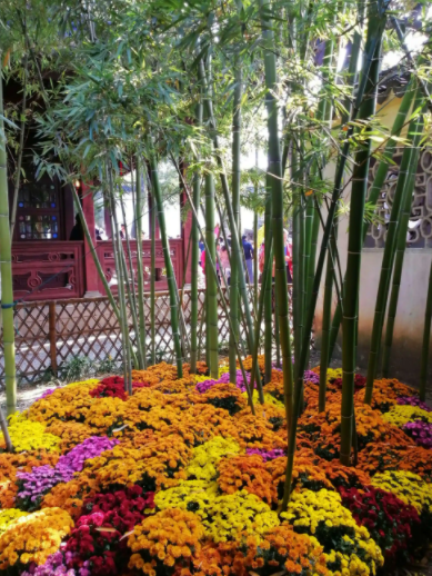 071103522.png image.png