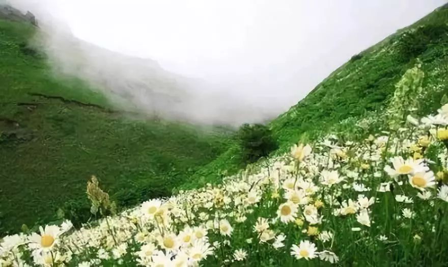 南环绘本馆四年级邵梓瑜 写给大山爷爷的一封信 241号