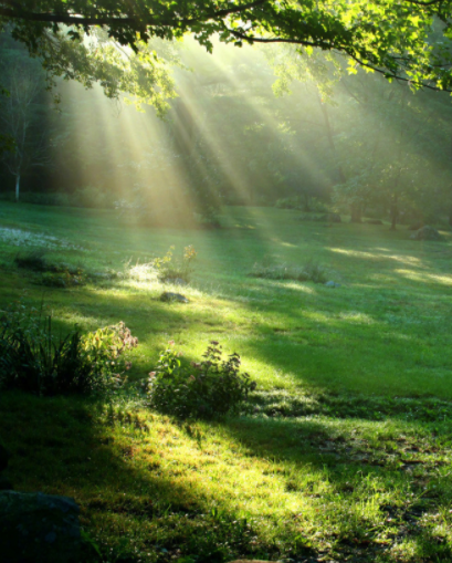 063507165.png image.png