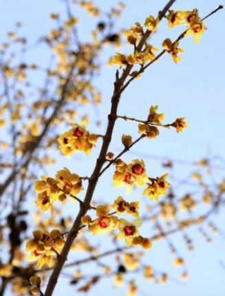080107931.png image.png