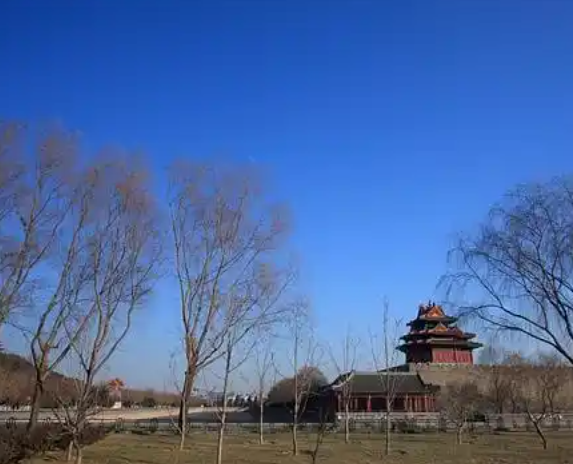 055909809.png image.png