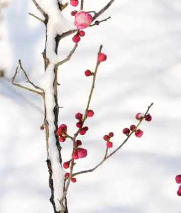 223302165.png image.png