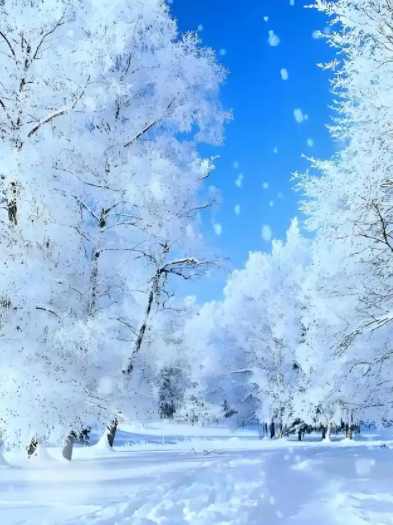 222506193.png image.png
