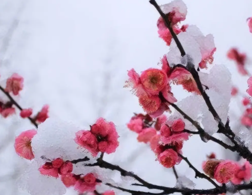 223202948.png image.png