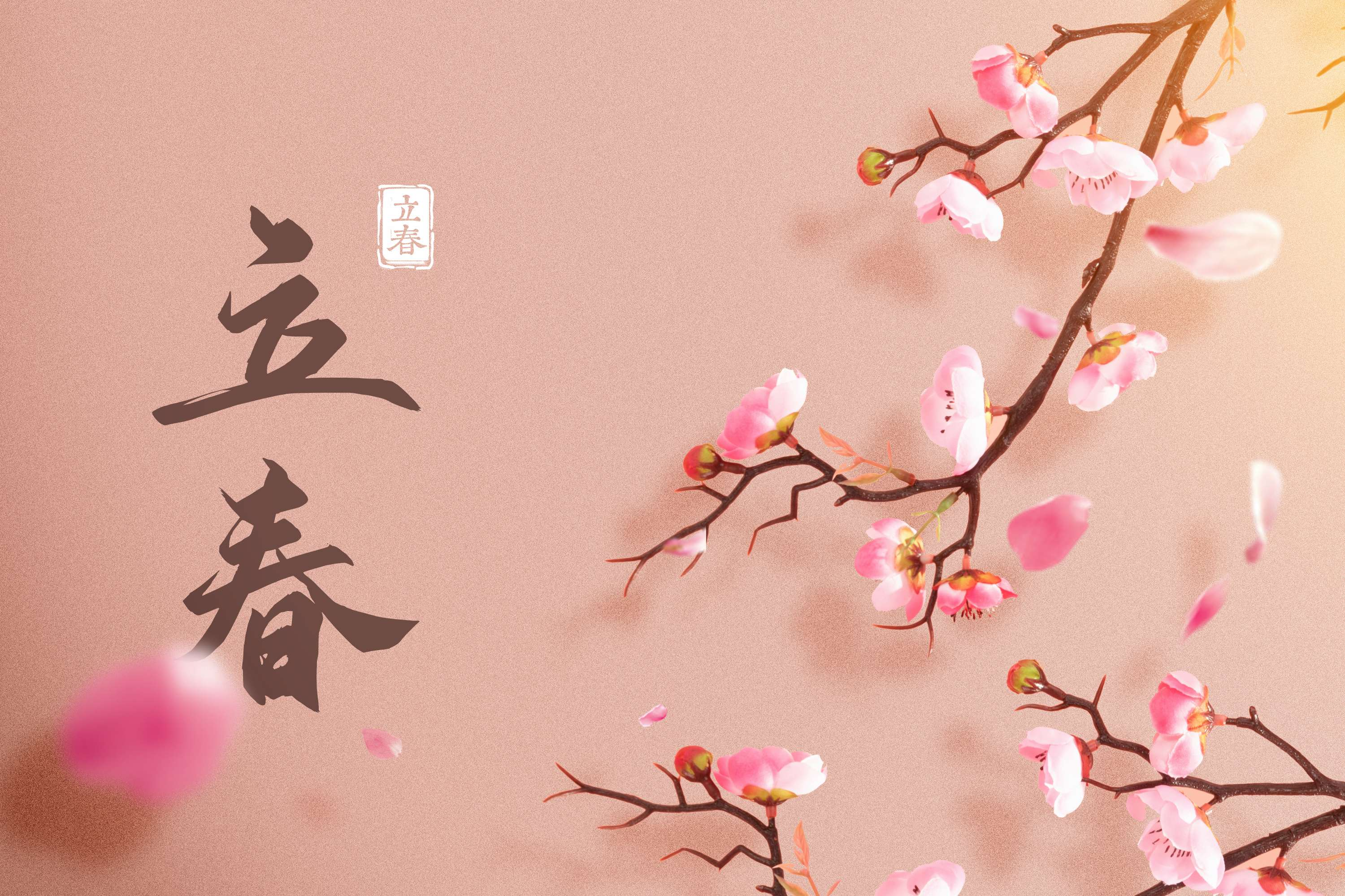191206452.png image.png
