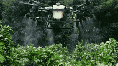 da81c67f7ce03773eabb9233185c4b23_t01d4eb0a6cadb54b5f.gif