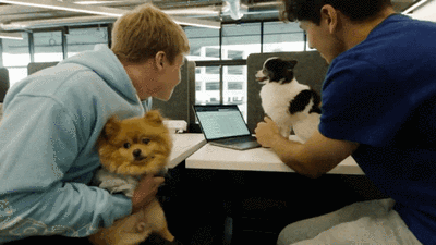 60b938356eba454fe77b11d05e0c3c76_t01d63c23d82a1f1509.gif