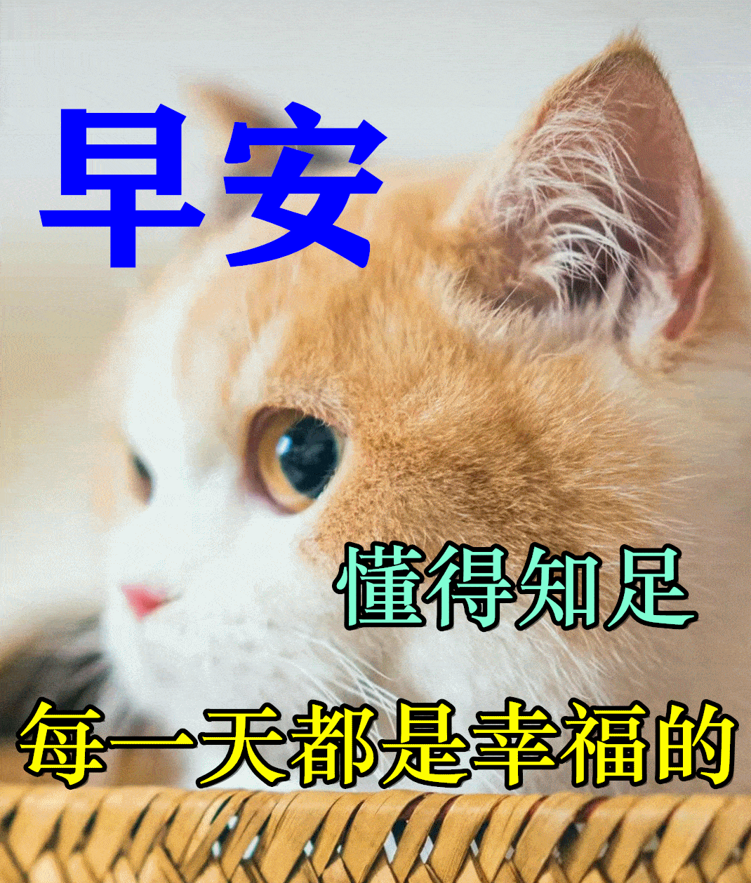 c4d4a440fada46f6943a653b7ecca4cb.webp