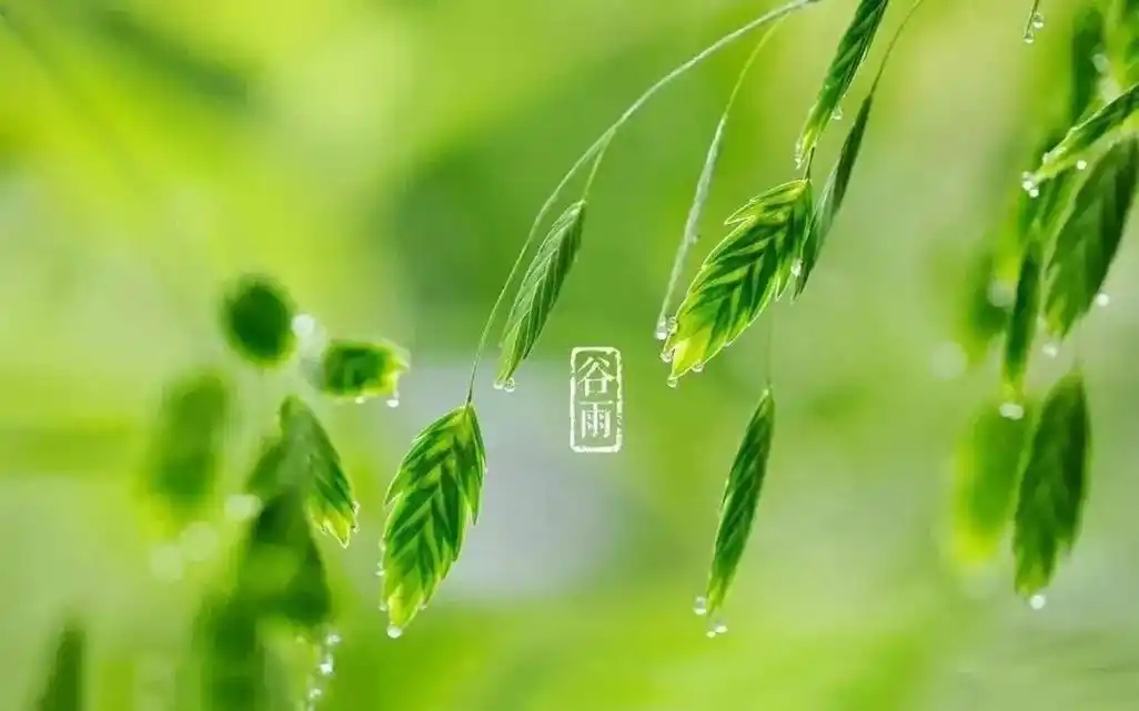 dcd227ba0104256c2ce994874dd97de4_u=2518634498,2426438974&fm=253&fmt=auto&app=138&f=JPEG_w=1026&h=641.webp