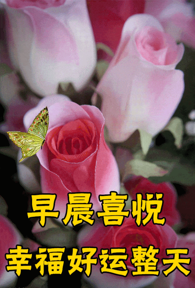 c6dde7b05a7a4e9f968e8501c623b439.webp