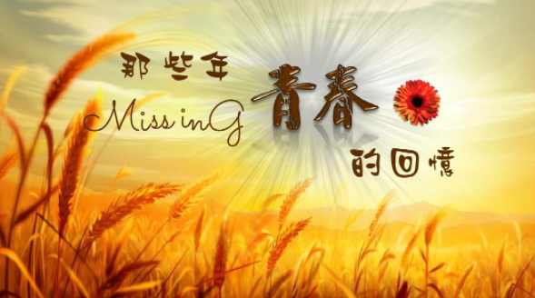 045607425.png image.png