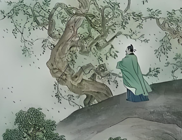 051009231.png image.png