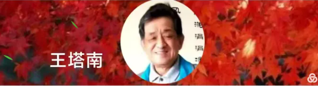 225300488.png image.png