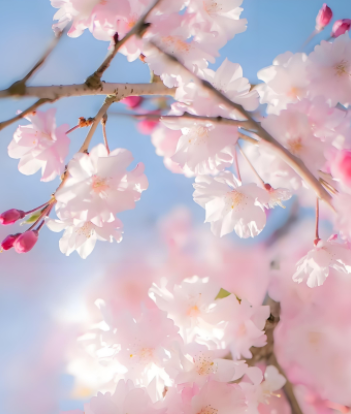 020408577.png image.png