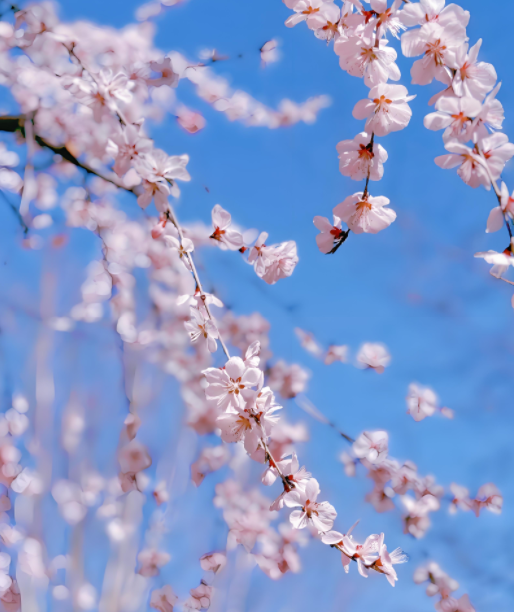 020503691.png image.png