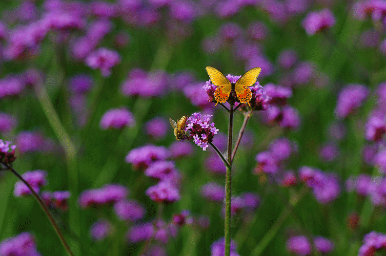 193007877.png image.png