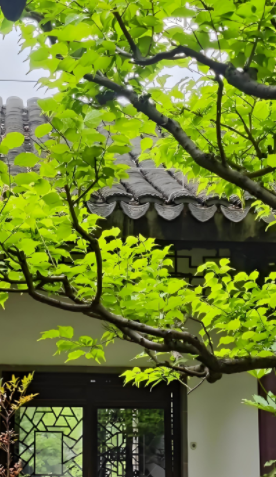 051108582.png image.png
