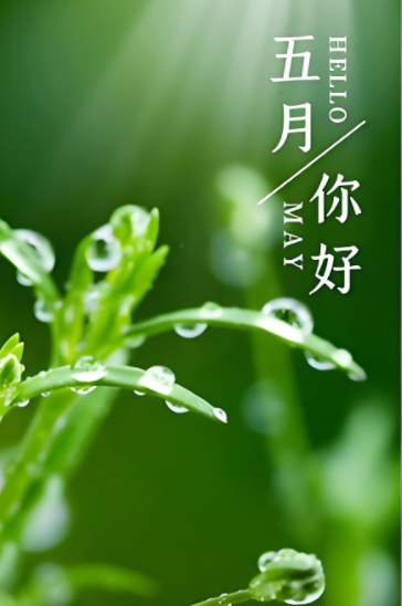 210609035.png image.png