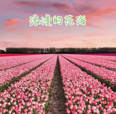 083004361.png image.png