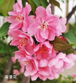 082109101.png image.png