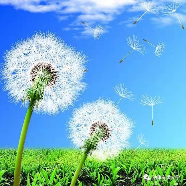 1629119376554052942.jpg 寰俊鍥剧墖_20210816210655.jpg