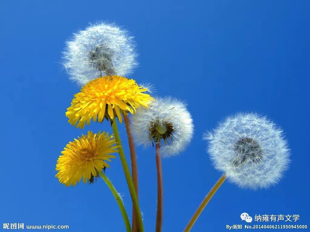 1629119277639099544.jpg 寰俊鍥剧墖_20210816210645.jpg