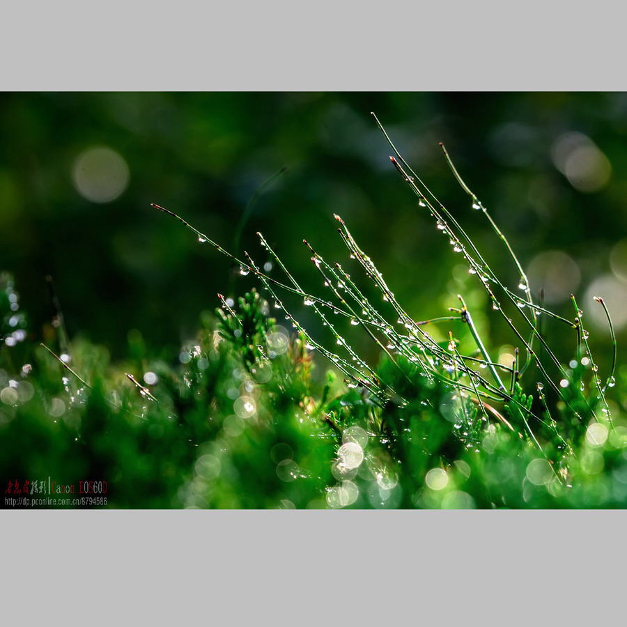 src=http_%2F%2Fimg.pconline.com.cn%2Fimages%2Fupload%2Fupc%2Ftx%2Fphotoblog%2F1910%2F16%2Fc2%2F173813345_1571205292820_mthumb.jpg&refer=http_%2F%2Fimg.pconline.com (1).jpg