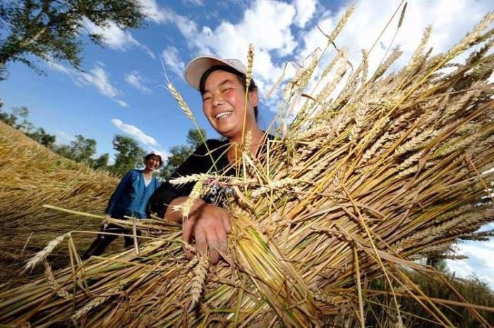 1634605307469031168.jpg src=http_%2F%2Fchina.zjol.com.cn%2Fgnxw%2F201708%2FW020170807374698529022.jpeg&refer=http_%2F%2Fchina.zjol.com.jpg