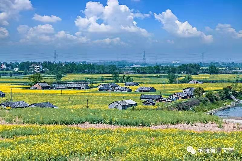 1635160937249054220.jpg 寰俊鍥剧墖_20211025192041.jpg