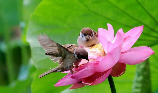 053604931.png image.png