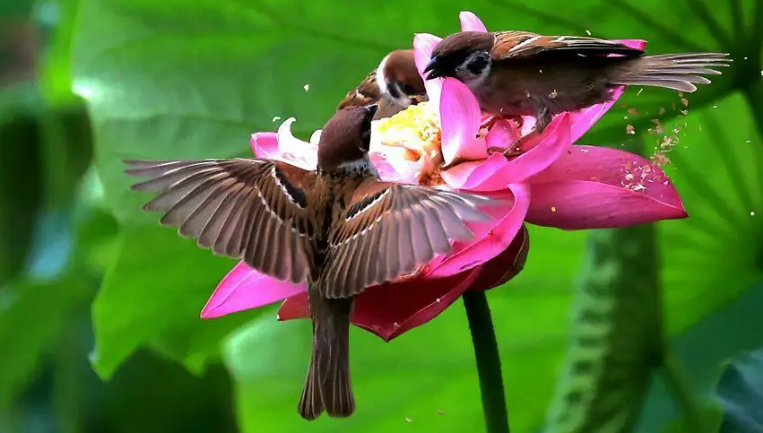 053707241.png image.png