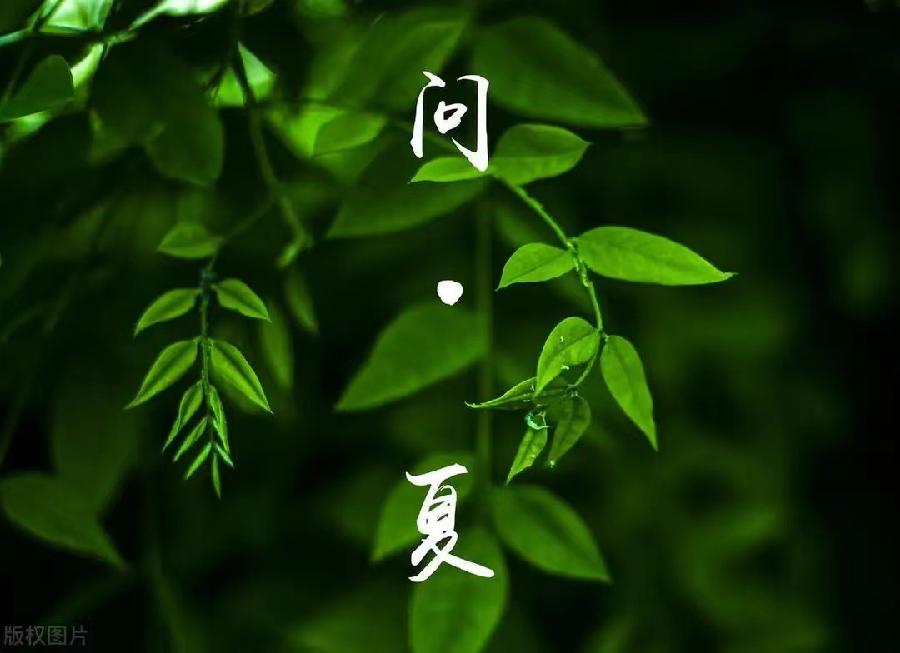 微信图片_20240604122210