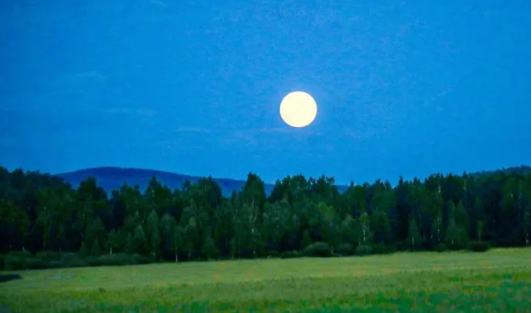 222501922.png image.png