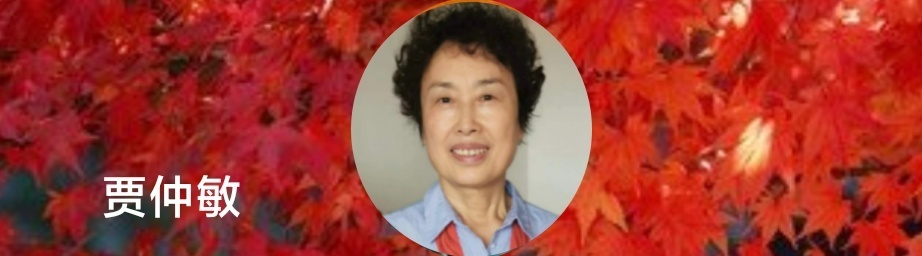 020807768.png image.png