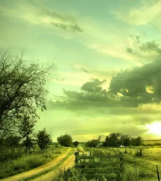 203004712.png image.png