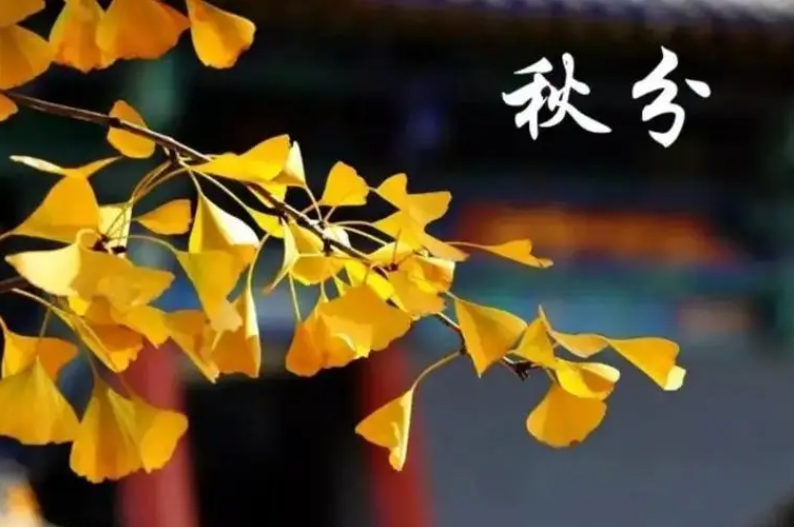 054108003.png image.png
