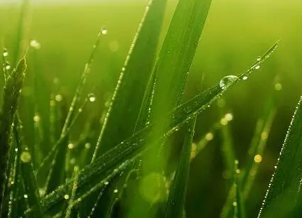 200105663.png image.png