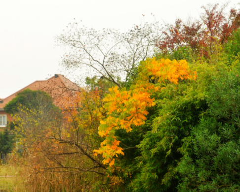 200006845.png image.png