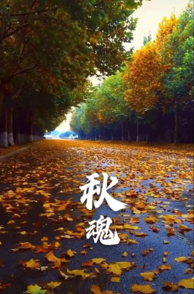 191308963.png image.png