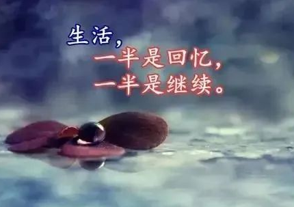060808636.png image.png