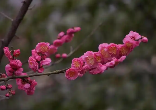 061404022.png image.png