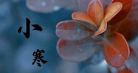 192005052.png image.png