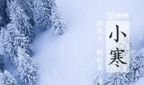 191903485.png image.png