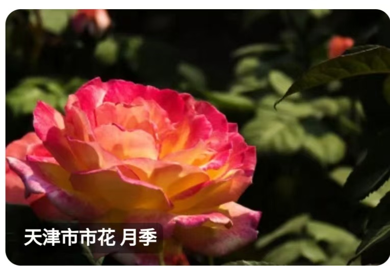 f43af9ae5cd550fdd38d265219b555b.jpg