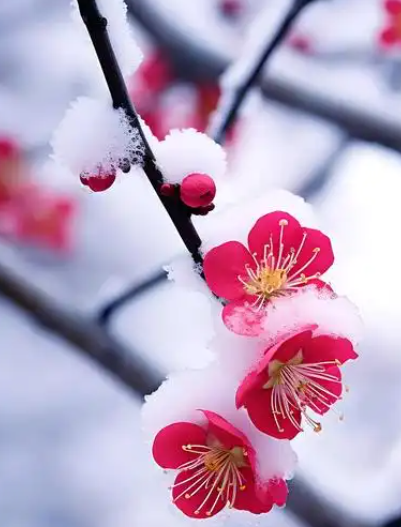 071402591.png image.png