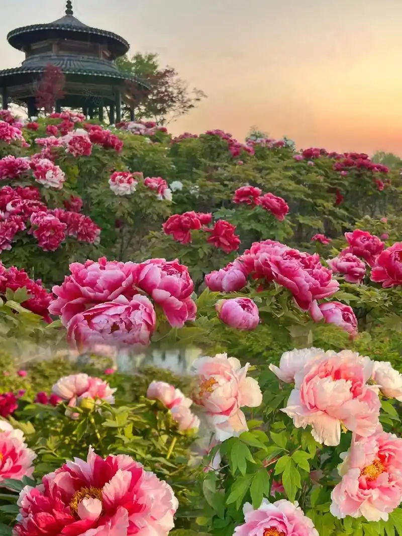 134705265.png image.png
