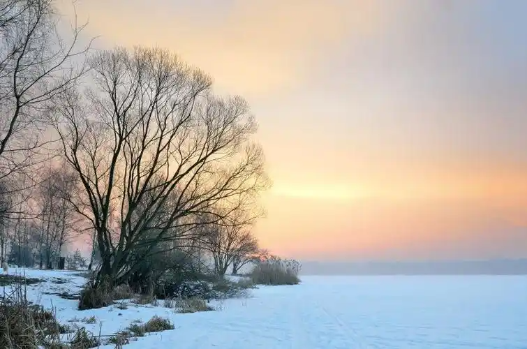 181408426.png image.png