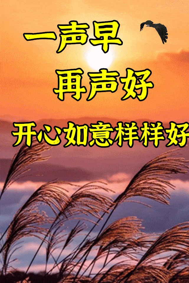 60c05d774dee4b0b921f12a3c280967a.webp