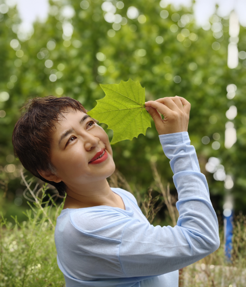 040801221.png image.png