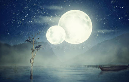 184802384.png image.png